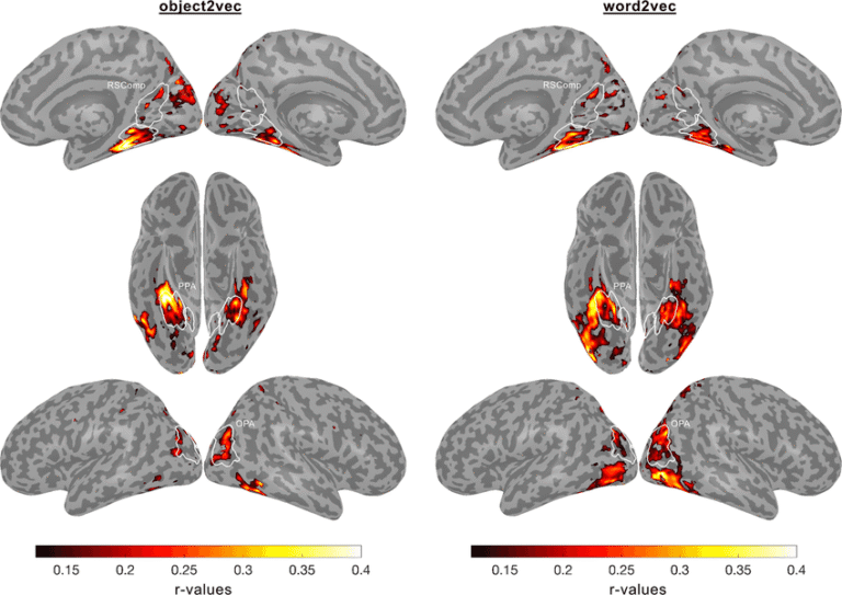 On croyait Meta à la traîne… mais voici TRIBE